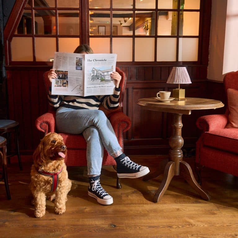 Cover Image for Celebrating National Pet Month with us at The British Queen